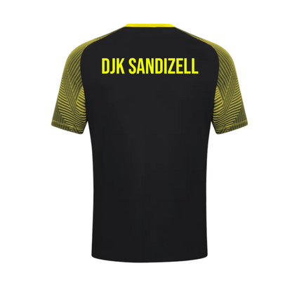 Trainingsshirt - DJK Sandizell